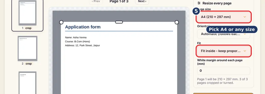 Step 5: Pick the page size (crop scanned PDF) - Crop & Resize PDF on LoveByPDF